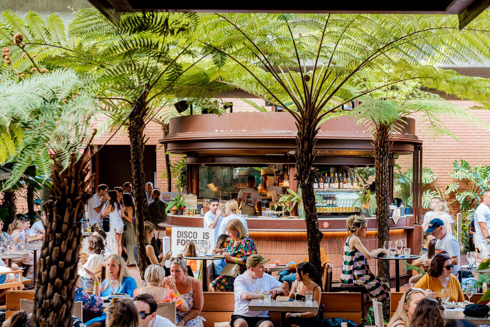 Busy courtyard bar and dining area under tree ferns